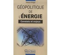 Géopolitique de l'énergie: Constats et enjeux