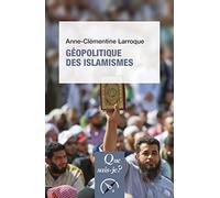 Géopolitique des islamismes