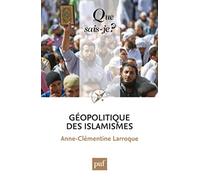 Géopolitique des islamismes