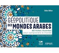 Géopolitique des mondes arabes: 40 fiches illustrées pour comprendre le monde