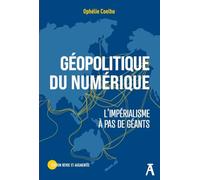 Géopolitique du numérique: L'impéralisme à pas de géants