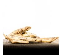 George & Bobs Ailes de dinde - 1000 g