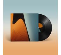 GEORGE FITZGERALD - NOT AS I (LTD 12INCH+MP3) VINYL LP SINGLE NEUF