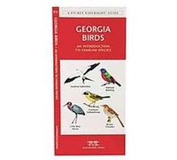 Georgia Birds, Pocket Naturalist Series Kavanagh (Auteur)