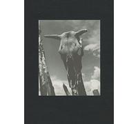 Georgia O'Keeffe: The Artist's Landscape