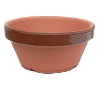 Geosism & Nature Pot en Tokoname Japonais pour la Culture de bonsaïs 28,0x12,7 cm (TC9)