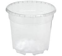 Geosism & Nature Vase Transparent pour orchidées 12x10.5 cm (1 pièce), Compagnie Arca