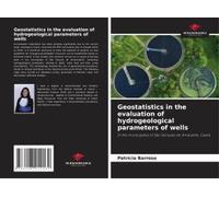 Geostatistics In The Evaluation Of Hydrogeological Parameters Of Wells