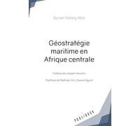 Géostratégie maritime en Afrique centrale