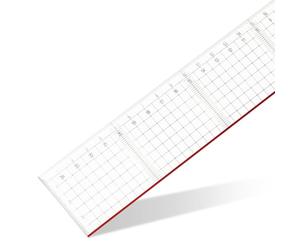 GEOtec règle ®, plexiglas 50 cm (transparent)