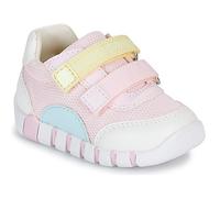 Geox Baskets basses enfant B IUPIDOO GIRL in Rose 23