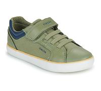 Geox Baskets basses enfant J GISLI BOY A in Kaki 33