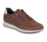 Geox Baskets basses U AVERY in Marron 41