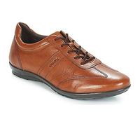 Geox Baskets basses UOMO SYMBOL in Marron 46