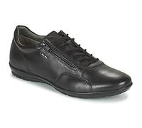 Geox Baskets basses UOMO SYMBOL in Noir 40
