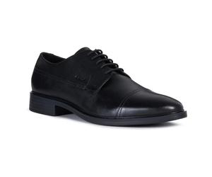 Geox Baskets Gladwin B
