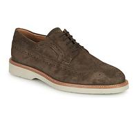 Geox Derbies U GUBBIO A in Gris 41