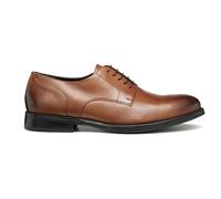 Geox Barberigo Shoes Marron EU 42 Homme