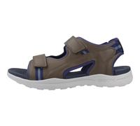Geox - Vaniett - Homme - Chaussures - Brun - Taille: 39 EU