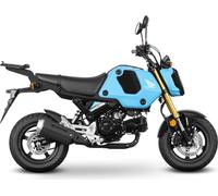 Gepäckträger für SHAD Motorrad-Topcase TOP MASTER