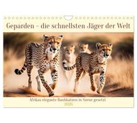 Geparden - die schnellsten Jäger der Welt (Wandkalender 2026 DIN A4 quer), CALVENDO Monatskalender: Afrikas elegante Raubkatzen in Szene gesetzt