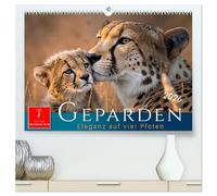 Geparden - Eleganz auf vier Pfoten (hochwertiger Premium Wandkalender 2026 DIN A2 quer), Kunstdruck in Hochglanz: Für Widnisliebhaber - ein Hauch von Afrika.