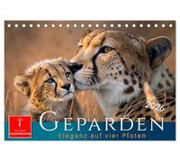 Geparden - Eleganz auf vier Pfoten (Tischkalender 2026 DIN A5 quer), CALVENDO Monatskalender: Für Widnisliebhaber - ein Hauch von Afrika.