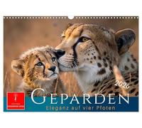 Geparden - Eleganz auf vier Pfoten (Wandkalender 2026 DIN A3 quer), CALVENDO Monatskalender: Für Widnisliebhaber - ein Hauch von Afrika.