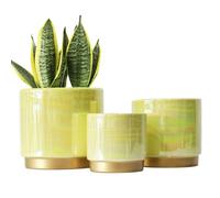 Gepege Pots d'intérieur pour Plantes, Pot de Fleurs en céramique avec Trou de Drainage, 15,2 cm + 12,7 cm + 10,2 cm. Pot de Fleurs pour orchidée succulente - Vernis Perle Arc-en-Ciel