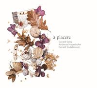 Gerald Selig, Andreas Mayerhofer, Gerald Endstrasser - a piacere