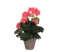 Géranium Artificielle Rose Saumon En Pot H34