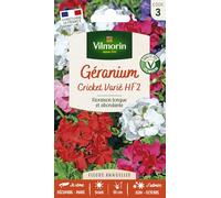 Vilmorin Graines à semer Géranium Cricket varié