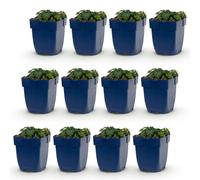 Géranium sang. Max Frei - Bec-de-grue - Couvre-sol - Rose - 12 plants - 15-25cm - Ø11cm - Plante de jardin
