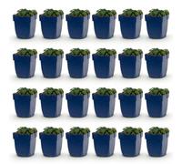 Géranium sang. Max Frei - Bec-de-grue - Couvre-sol - Rose - 24 plants - 15-25cm - Ø11cm - Plante de jardin