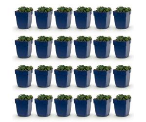 Géranium sang. Max Frei - Bec-de-grue - Couvre-sol - Rose - 24 plants - 15-25cm - Ø11cm - Plante de jardin