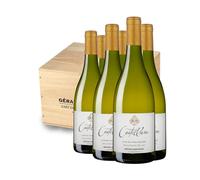 Gérard Bertrand Castellum Sauvignon Blanc 2023 75 aisse Bois 6 Bouteilles