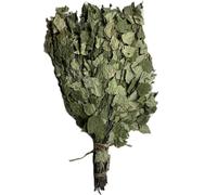 Gerbe De Branches Bouleau Vitau Standart