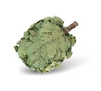 Gerbe De Branches Chêne Premium