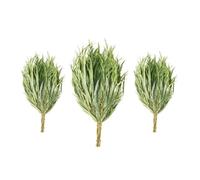 Gerbe De Branches Eucalyptus, 3 Pcs Set