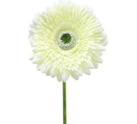 Gerbera artificiel blanc 62cm 6pcs fleurs en soie décoration mariage salon fleur artificielle