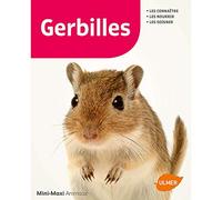 Gerbilles
