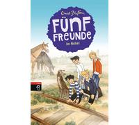Gerda Raidt Enid Blyton Marita Moosha Fünf Freunde im Nebel (Einzelbänd (Relié)