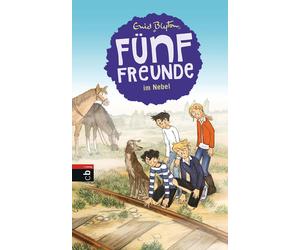 Gerda Raidt Enid Blyton Marita Moosha Fünf Freunde im Nebel (Einzelbänd (Relié)