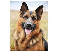 Gerenic DIY Point De Croix Peinture Au Diamant Kits 5D De Forage Complet 40X50cm Diamant Peinture Berger Allemand Diamant Broderie Chien Photos