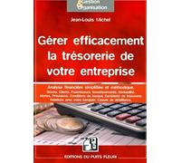 Gérer efficacement la trésorerie de votre entreprise: Analyse financière simplifiée et méthodique. Stocks, clients, fournisseurs, investissements, ... avec votre banquier, causes de défaillance.