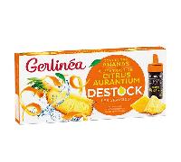 Gerlinéa Concentré Ananas et Citrus Destock 70ml