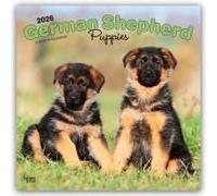 German Shepherd Puppies 2026 Square Flap Calendar Calendar Book