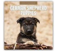 German Shepherd Puppies - Deutsche Schäferhunde Welpen 2026 - 16-Monatskalender