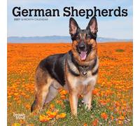 German Shepherds | 2027 7 x 14 Inch (Hanging) Monthly Mini Wall Calendar | BrownTrout | Animals Dog Breeds
