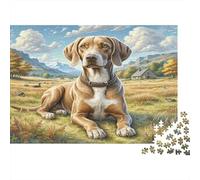 German Shorthaired Pointer 1000 Pièces pour Adultes Femmes - Rhodesian Ridgeback dans Un Champ Herbeux Jeu de Famille Amusant et Stimulant et Cadeau 52x38cm/1000pcs